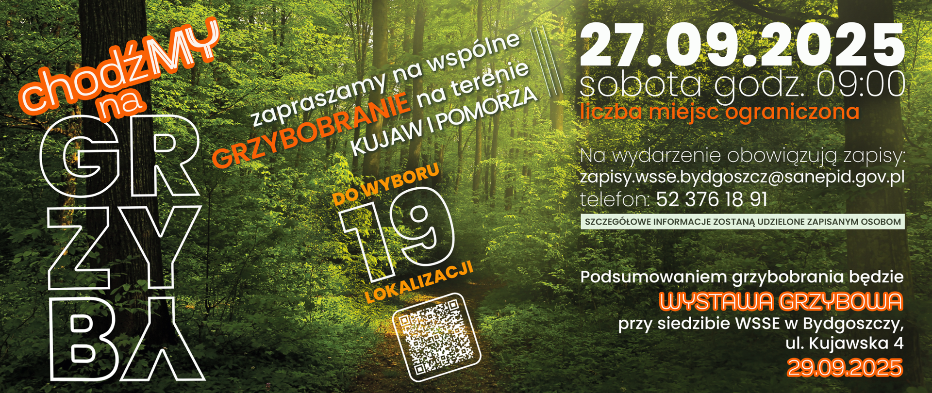 ChodźMY na grzyby – wspólne grzybobranie na Kujawach i Pomorzu