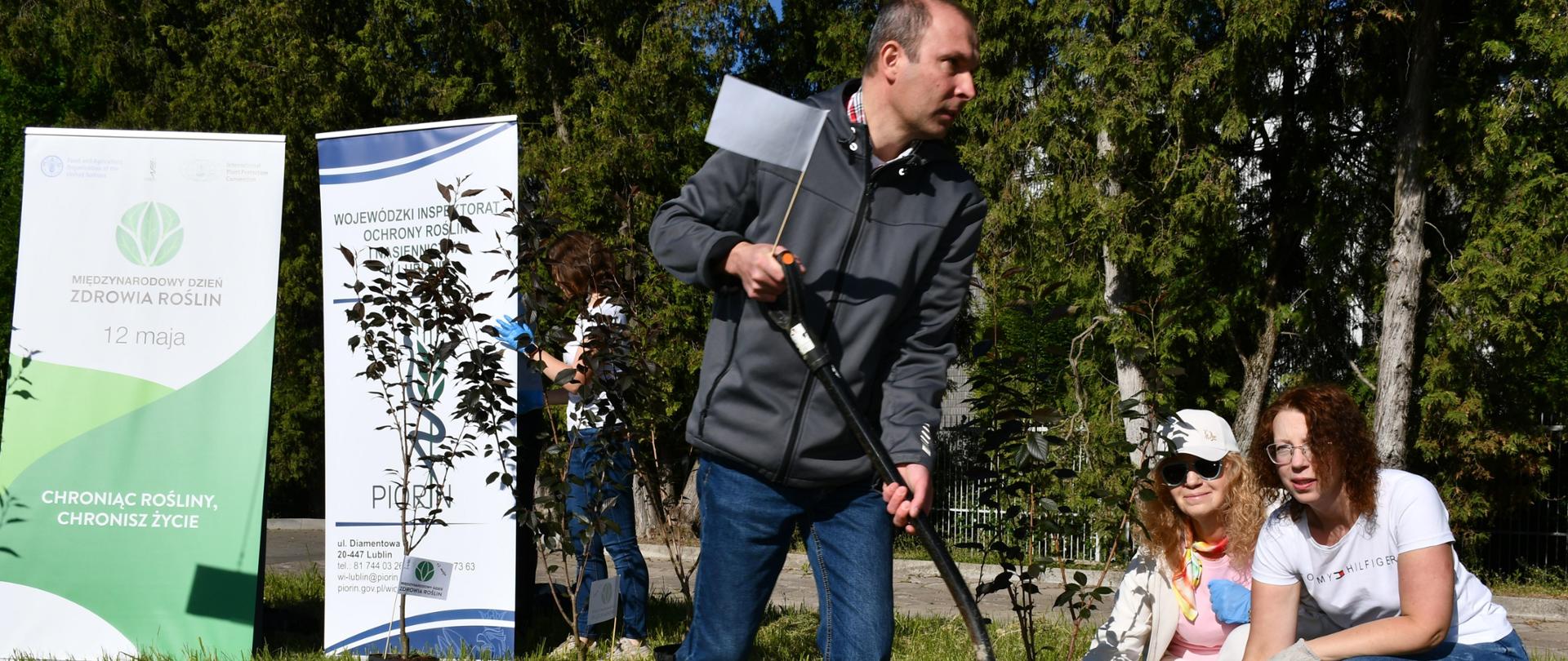 Pierwsze drzewko posadzone