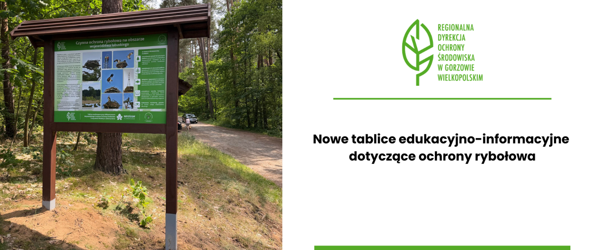 Po lewej stronie zdjęcie tablicy dotyczącej ochrony rybołowa na tle lasu, po prawej stronie tekst: Nowe tablice edukacyjno-informacyjne dotyczące ochrony rybołowa