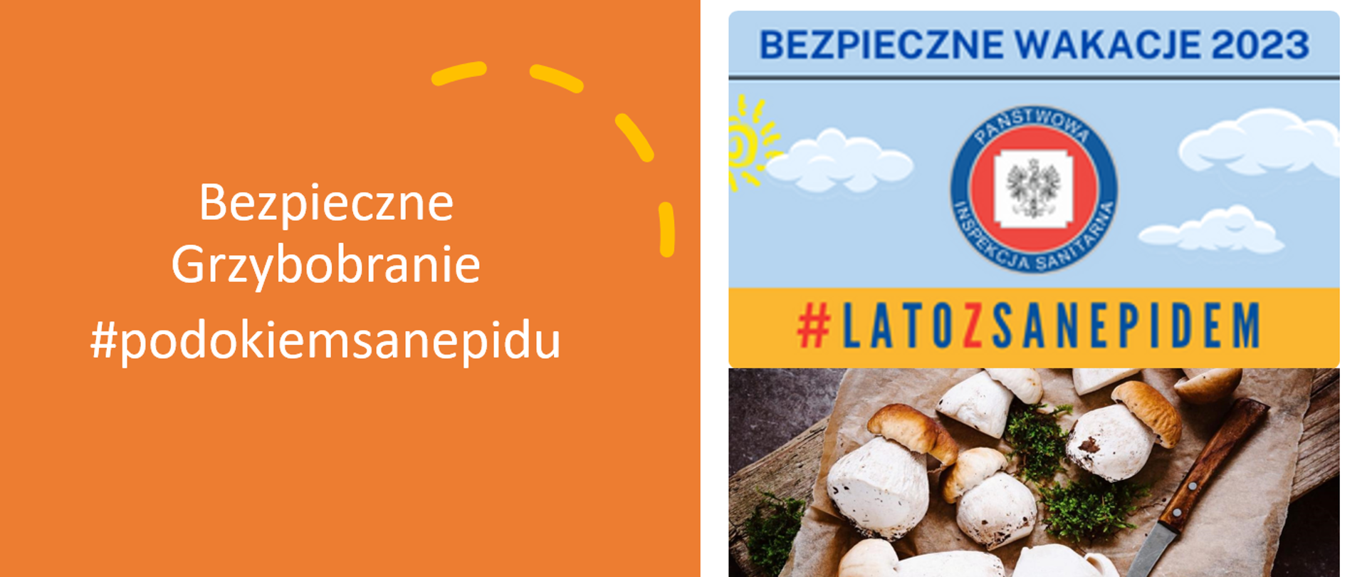 Bezpieczne grzybobranie