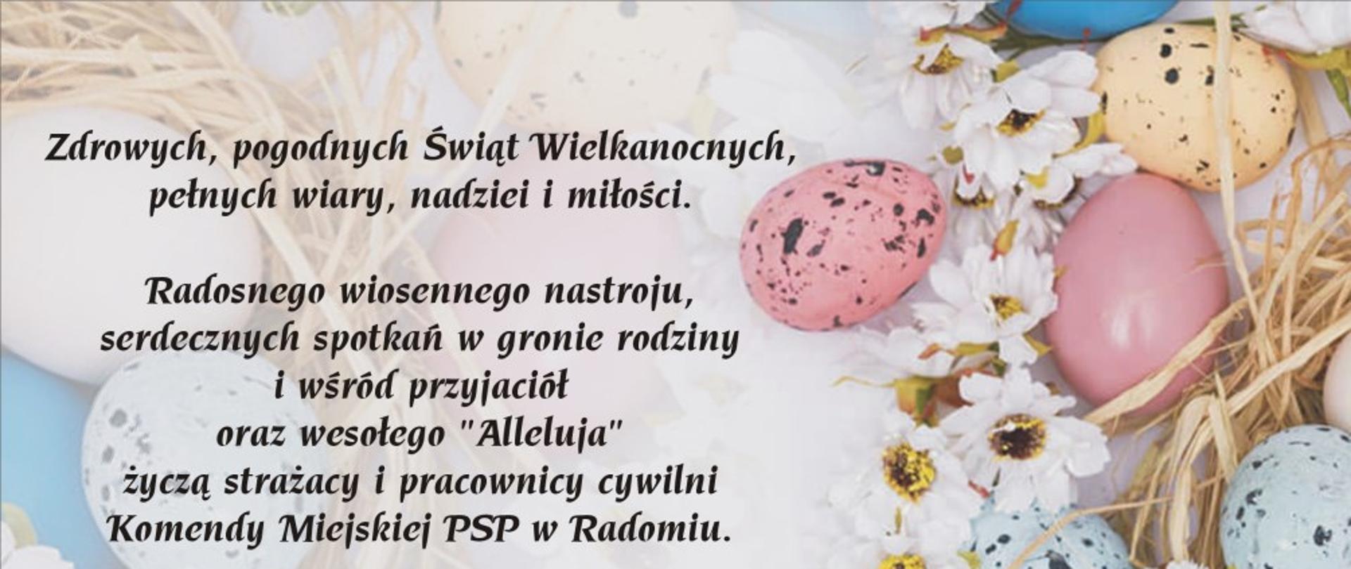 Zdjęcie przedstawia kartkę z życzeniami komendanta miejskiego Państwowej Straży Pożarnej w Radomiu z okazji Świąt Wielkanocnych. Tło kartki w kolorze jasnym, białym. Na kartce znajduje się treść życzeń zdrowych, pogodnych Świąt Wielkanocnych, pełnych wiary, nadziei i miłości. Radosnego, wiosennego nastroju, serdecznych spotkań w gronie rodziny i wśród przyjaciół oraz wesołego "Alleluja" życzą strażacy i pracownicy cywilni Komendy Miejskiej PSP w Radomiu. Komendant Miejski PSP w Radomiu st. bryg. Bartosz Musiał. Po prawej stronie kartki znajdują się kolorowe psianki oraz kwiaty w kolorze białym i żółtym. 