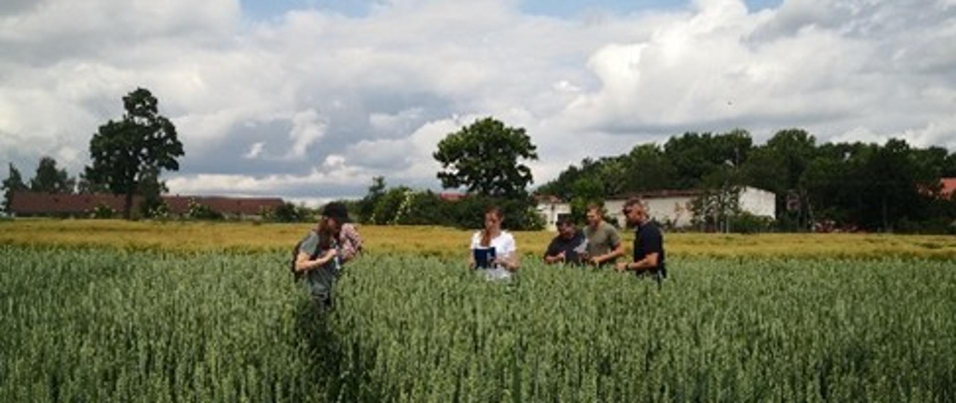 Uczestnicy szkolenia na polu w Zybiszowie