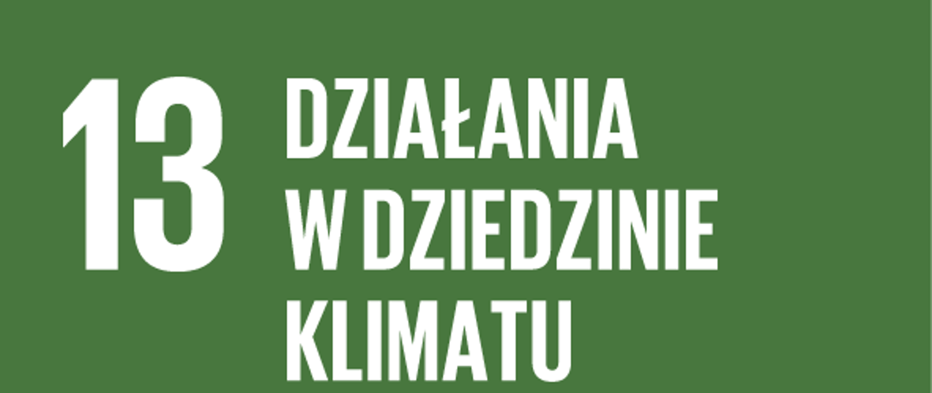 13 Działania w dziedzinie klimatu zielony