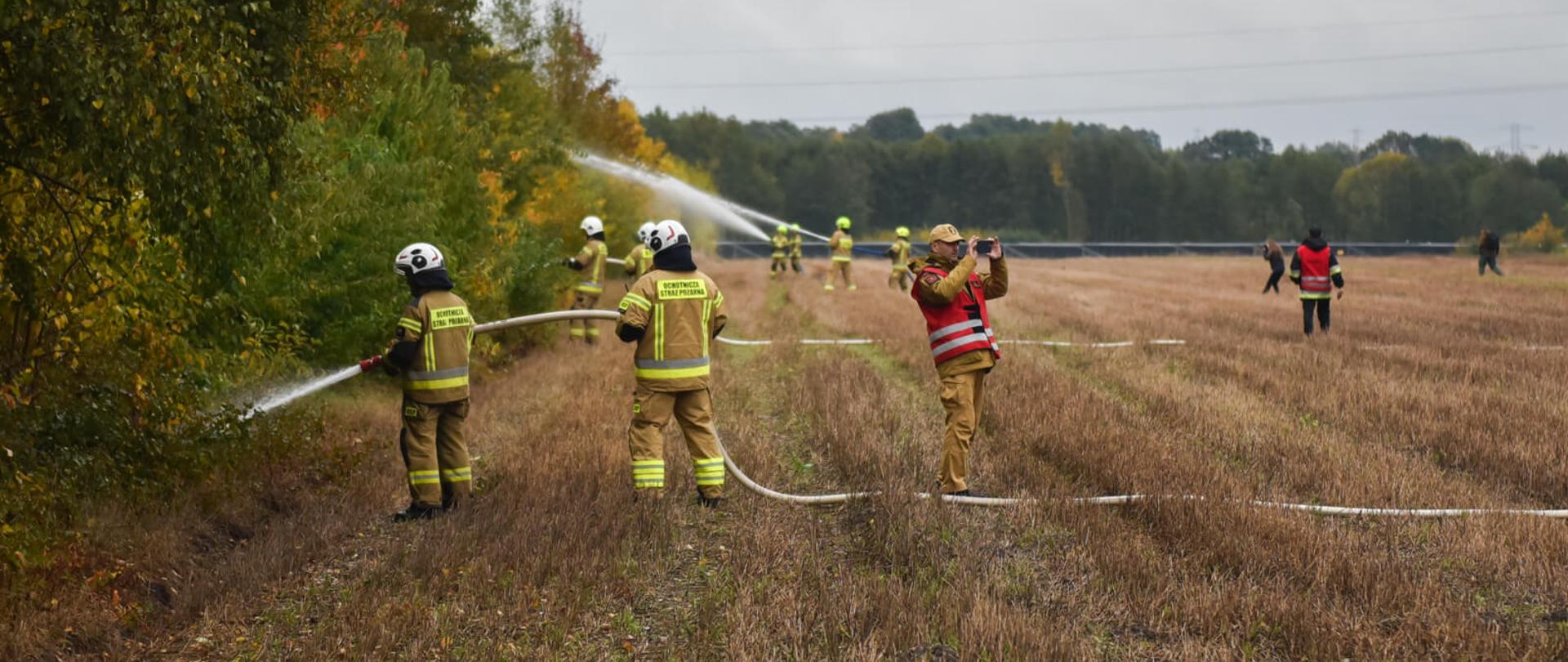 strażacy podający kilka prądów wody w kierunku lasu