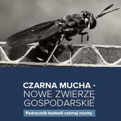 Czarna mucha-nowe zwierzę gospodarskie