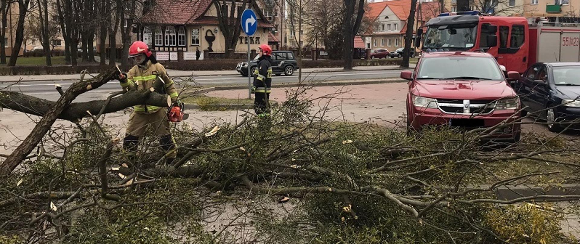 Zdjęcie przedstawia strażaków usuwających powalone drzewo