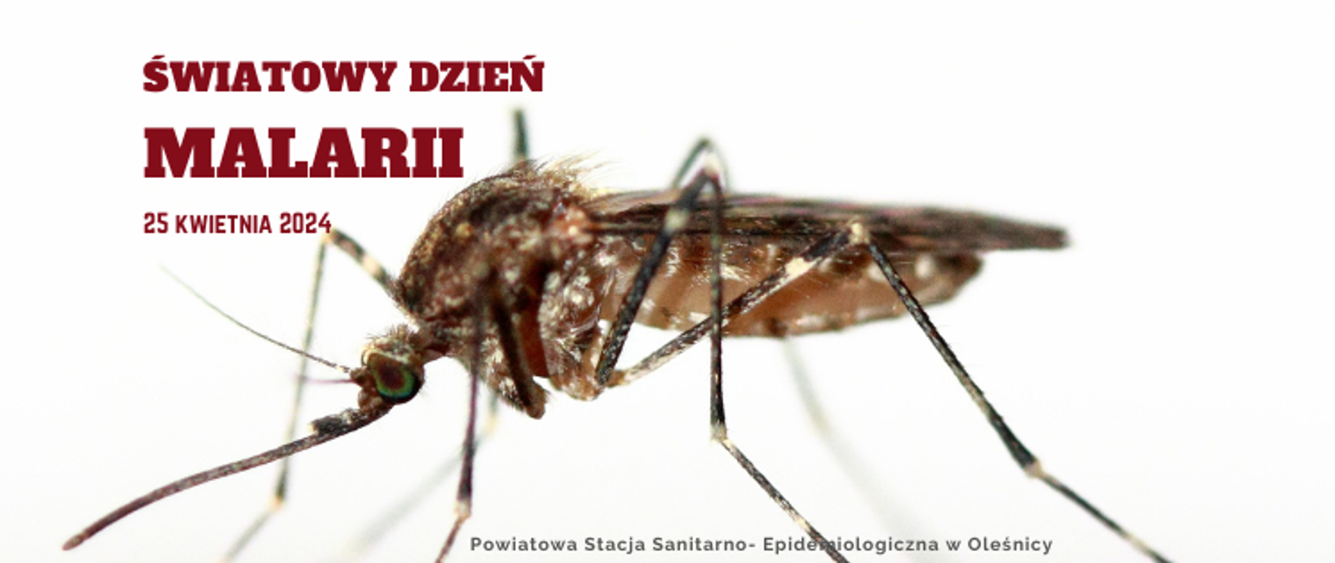 Światowy Dzień Malarii