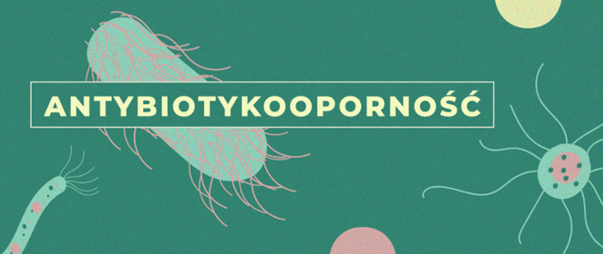na zielonym tle napis: Antybiotykooporność wokół napisu grafika bakterii