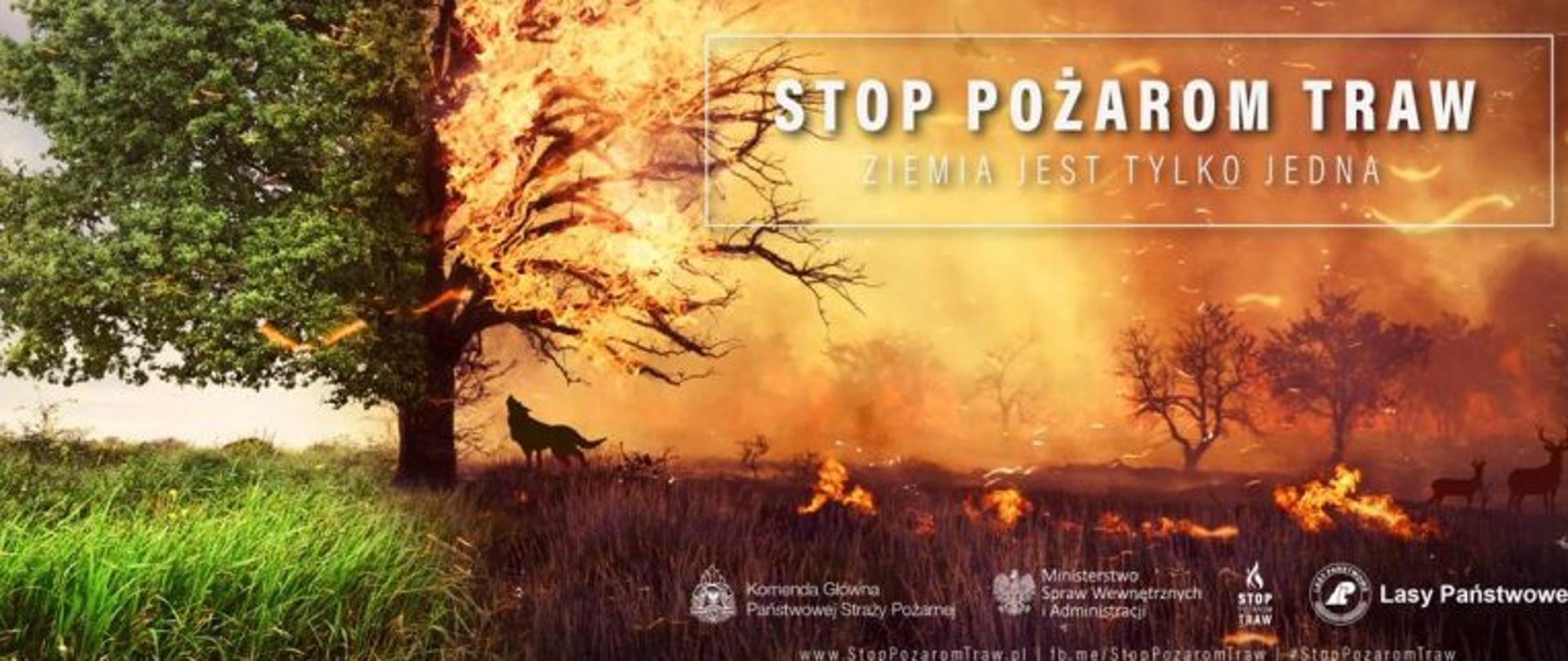 Stop pożarom traw i lasów