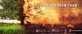 Stop pożarom traw i lasów