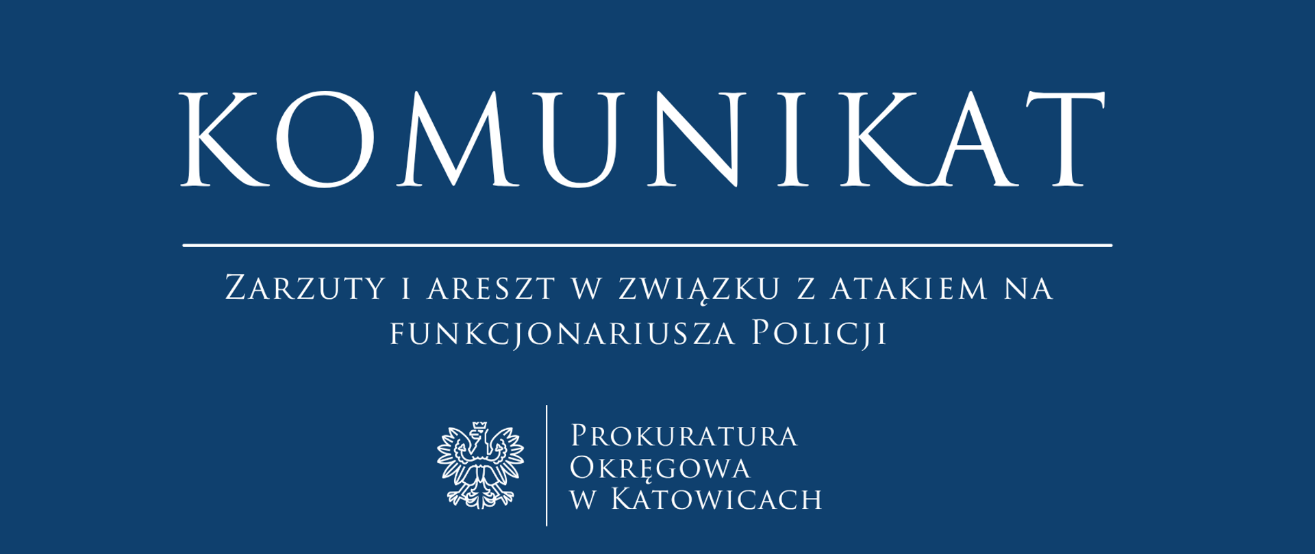 Zarzuty i tymczasowy areszt dla sprawcy ataku na funkcjonariusza Policji