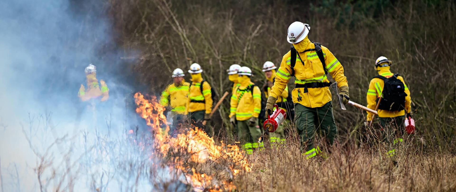 Strażak idzie wzdłuż linii ognia, niosąc pochodnię kropelkową do kontrolowanego wypalania; w tle stoją inni ratownicy w dymie.