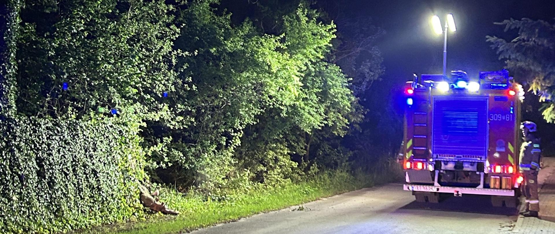 Zdjęcie przedstawia drogę w miejscowości Trzcianka. Po prawej stronie stoi zaparkowany samochód gaśniczy, przy którym zatrzymał ratownik. Po lewej stronie, zza żywopłotu wystaje leżący na ziemi uwięziony łoś.