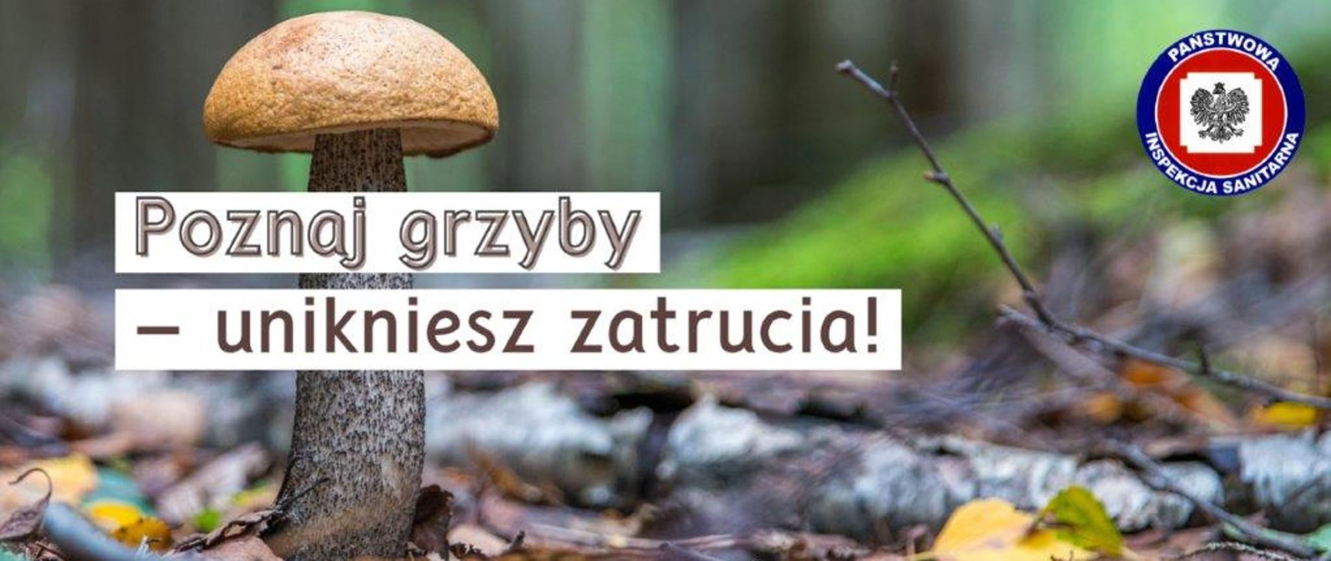 w tle rozmazane zdjęcie lasy, na pierwszym planie wizerunek grzyba oraz hasło poznaj grzyby - unikniesz zatrucia