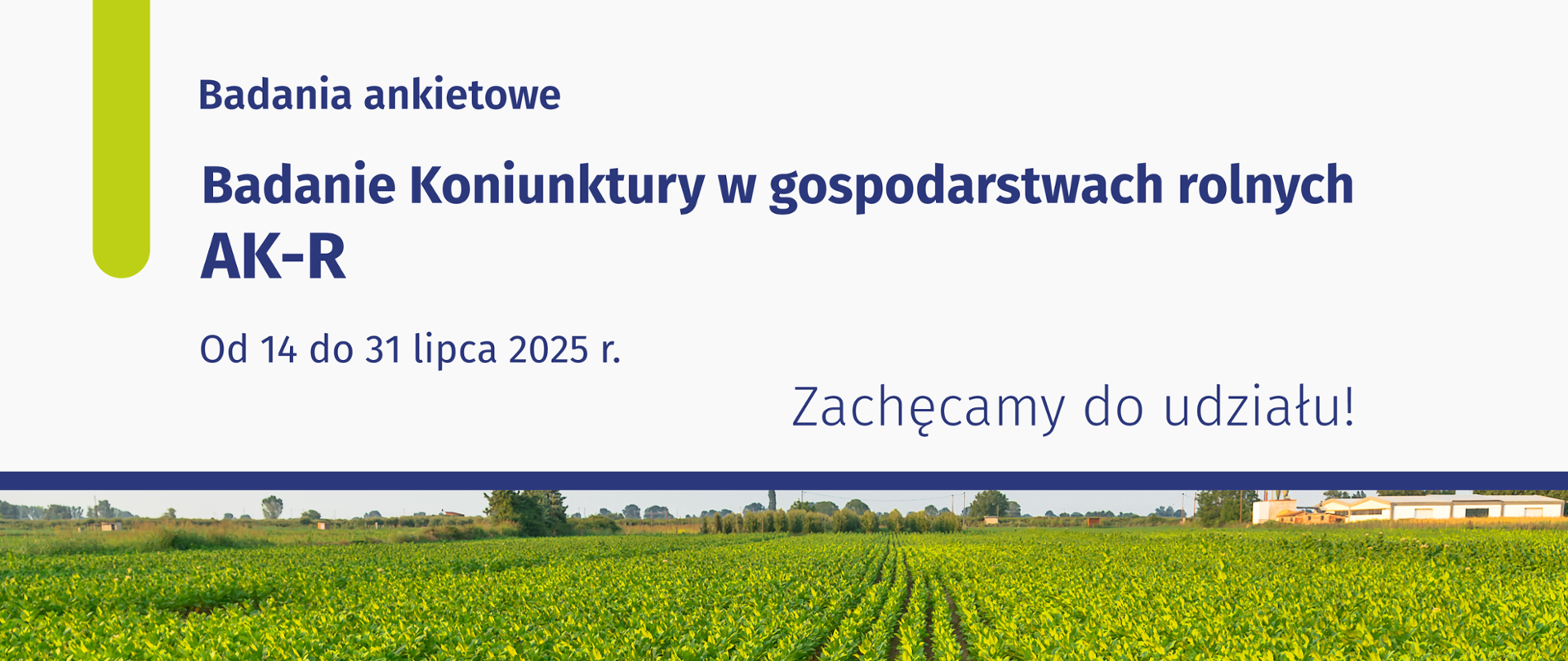 Krajobraz wiejski uprawa roślin liściastych 