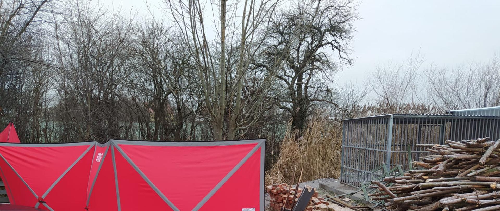 Na zdjęciu z prawej strony widać stertę drewna przygotowaną do cięcia oraz kojec psa. Po lewej stronie znajduje się czerwony parawan. W tle widać drzewa i trzciny. 