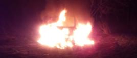 Zdjęcie wykonane w porze nocnej przedstawia samochód całkowicie objęty ogniem. Wokół słabo widoczne krzewy i trawa.