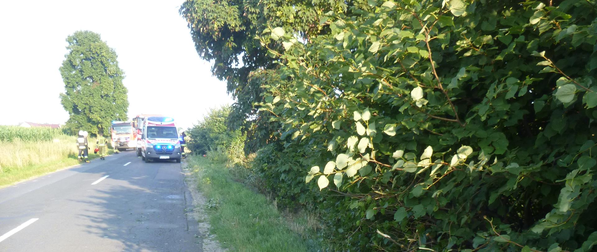 Po lewej stronie spękana nawierzchni jezdni, po prawej stronie pobocze z krzewami i drzewami. W tle na drodze widać ratowników medycznych i strażaków oraz zespół ratownictwa medycznego i wozy strażackie.