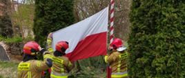 Obchody Dnia Flagi Rzeczypospolitej Polskiej