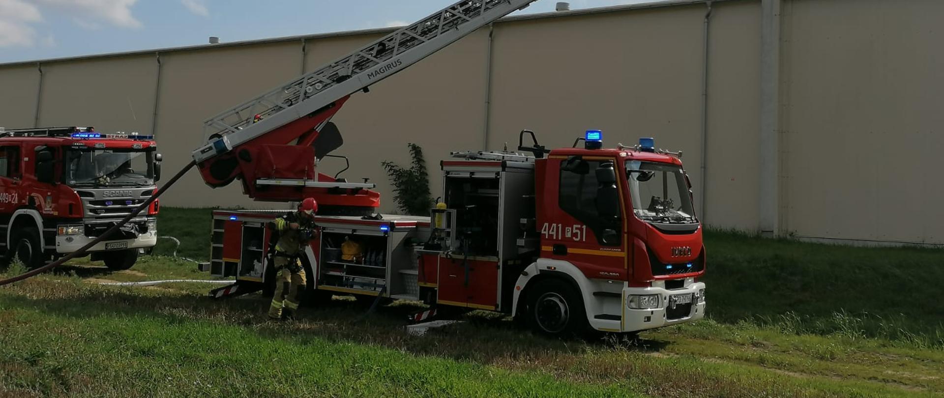 ćwiczenia w firmie OKECHAMP 