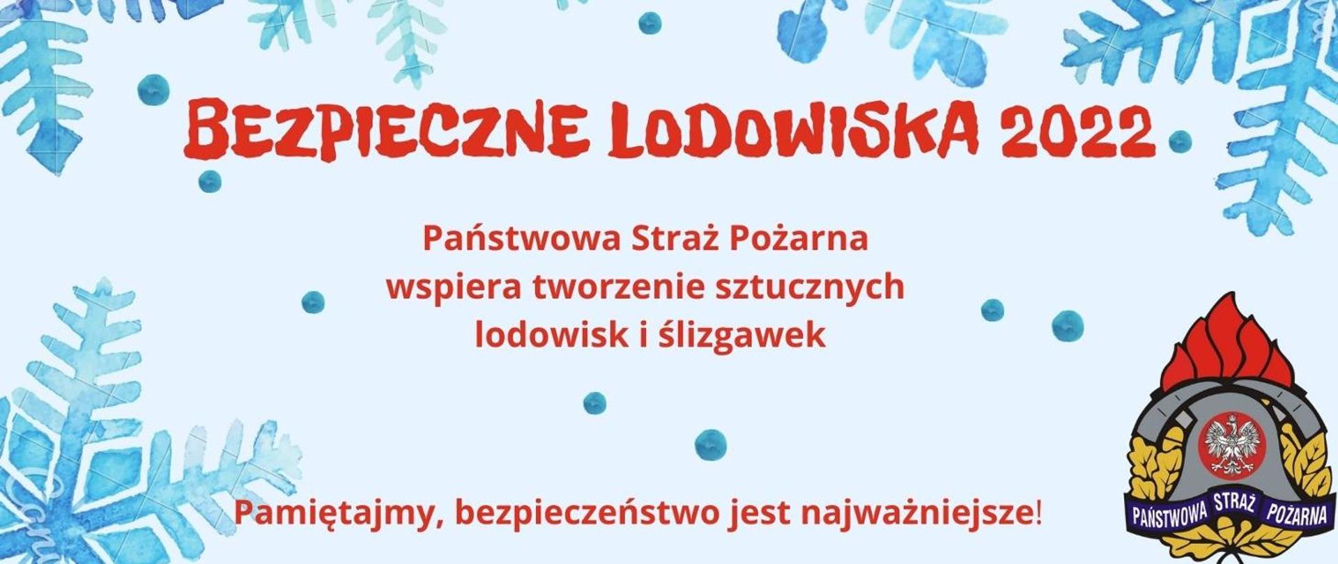 Bezpieczne_lodowiska - opis