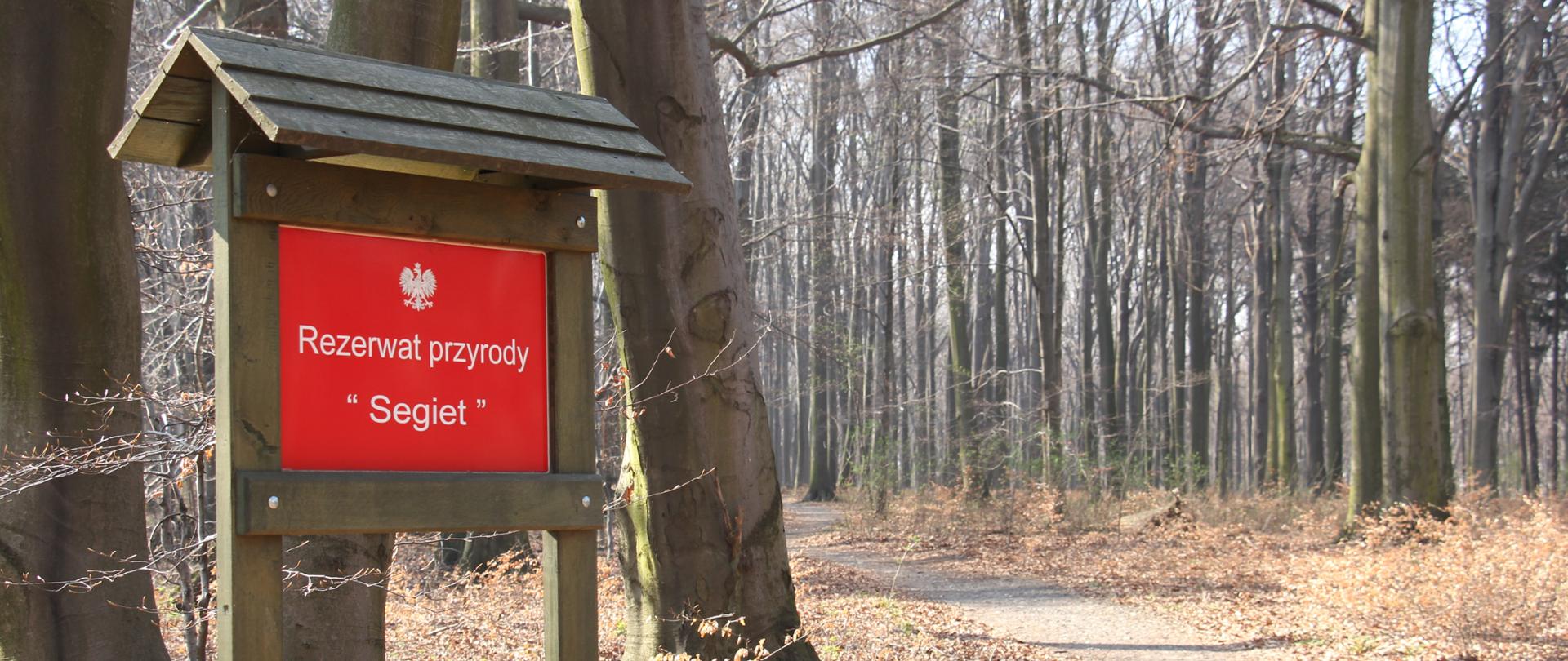 Rezerwat Segiet 