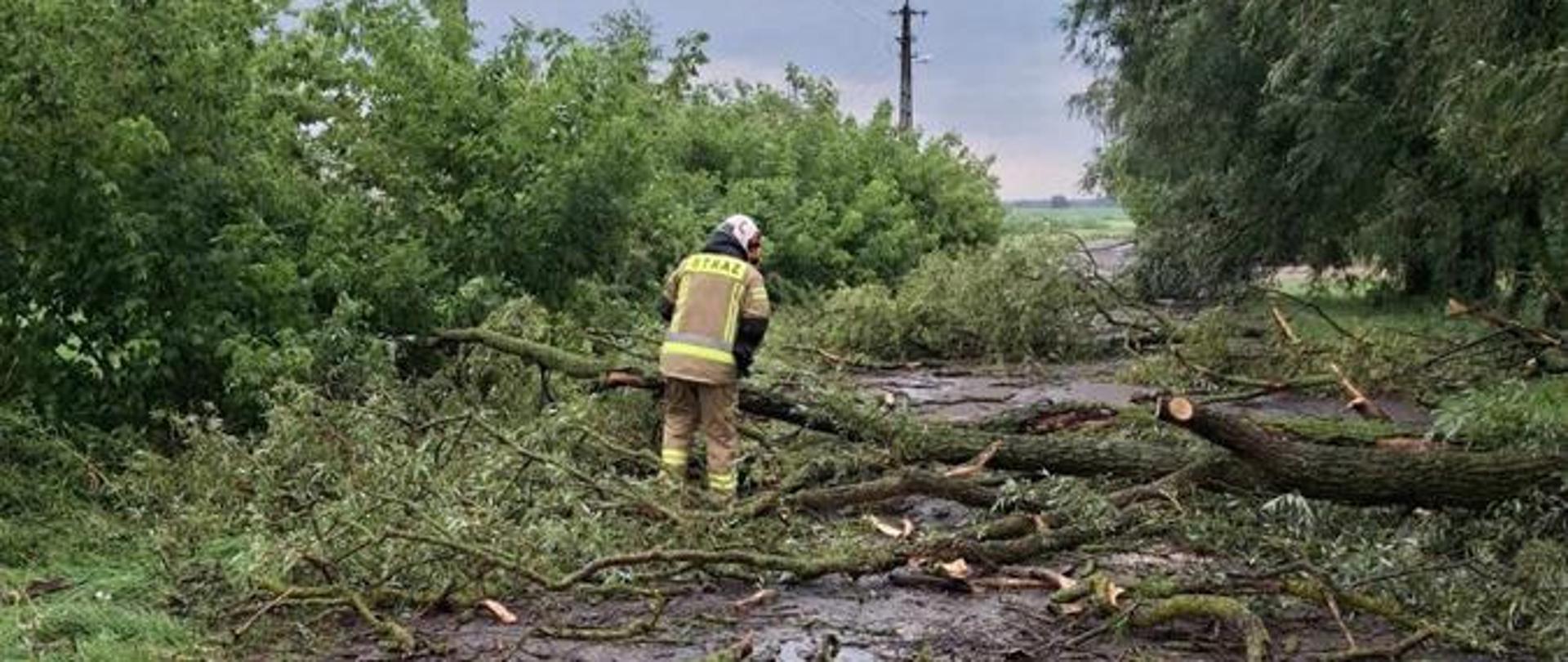 Nawałnica w powiecie węgrowskim