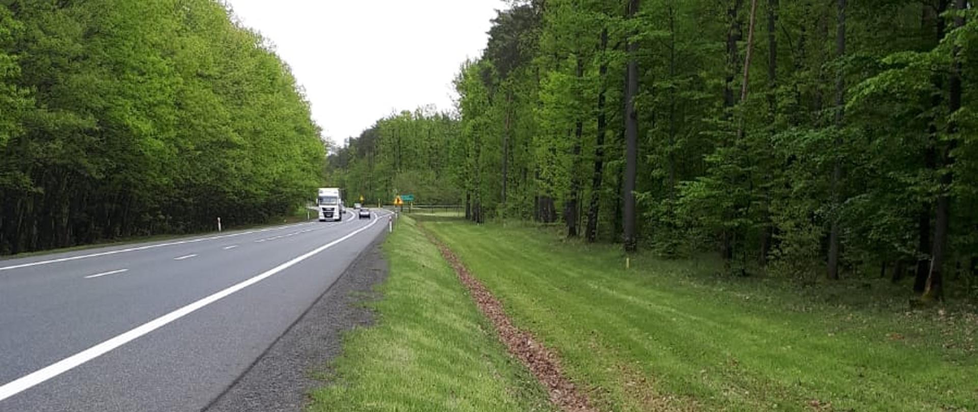 Droga krajowa 46 na odcinku Dębska Kuźnia – Schodnia 