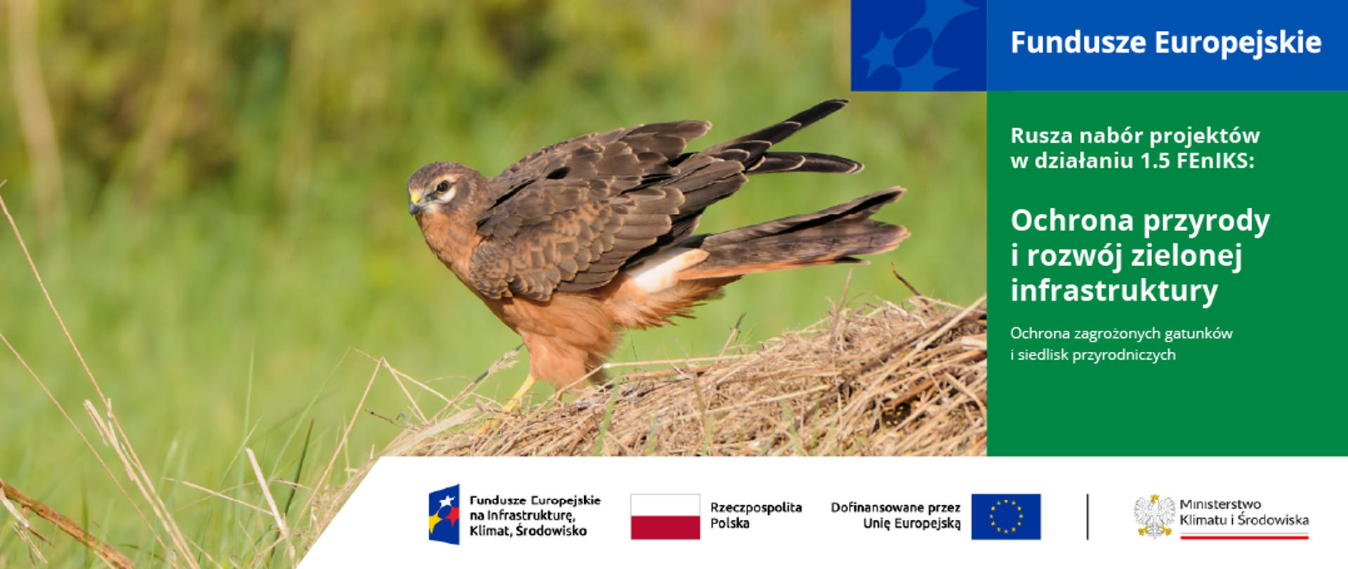 Grafika dot. naboru wniosków o dofinansowanie