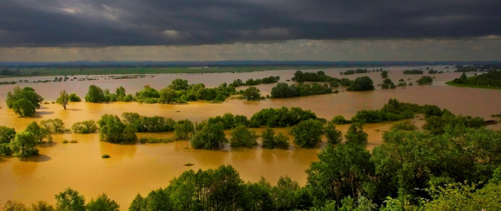 Zdjęcie z lotu ptaka. Na głównym planie drzewa i krzewy zalane wodą. Na górze ciemne chmury.
