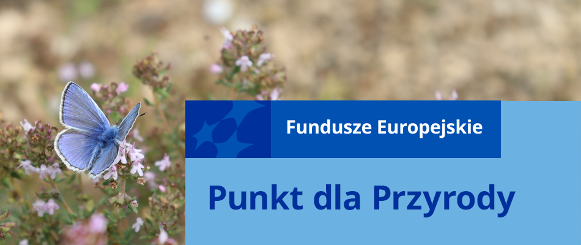 Po lewej stronie niebieski motyl na tle łąki, a po prawej napis: "Fundusze Europejskie Punkt dla Przyrody"