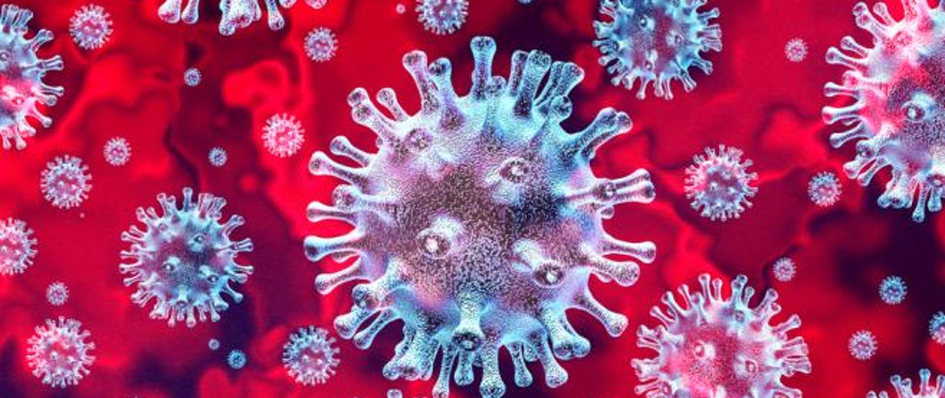 Zdjęcie przedstawia symulację wirusa w zbliżeniu mikroskopem.