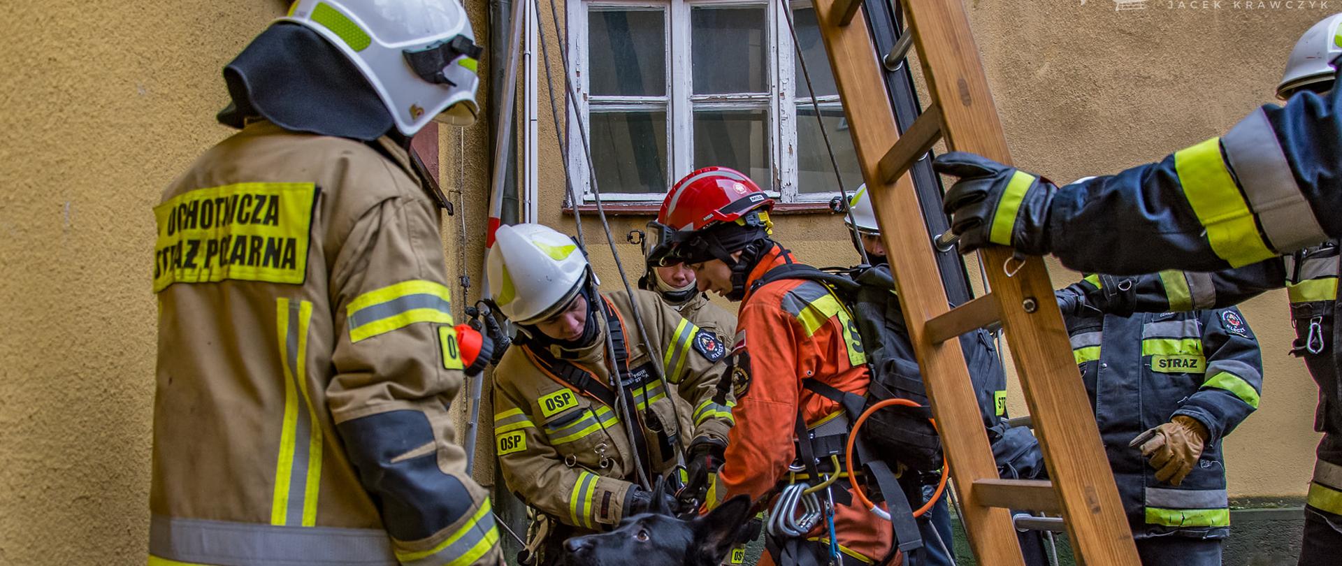 Grupa strażaków przygotowująca ratowniczkę z psem do transportu na drugą kondygnację budynku, przy pomocy technik linowych.