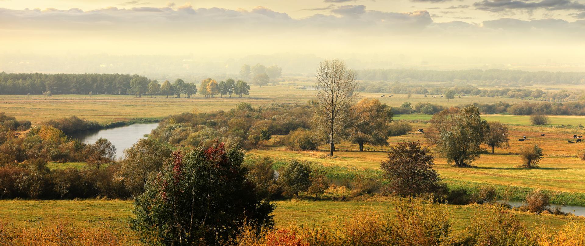 Retencja jesień - grafika
