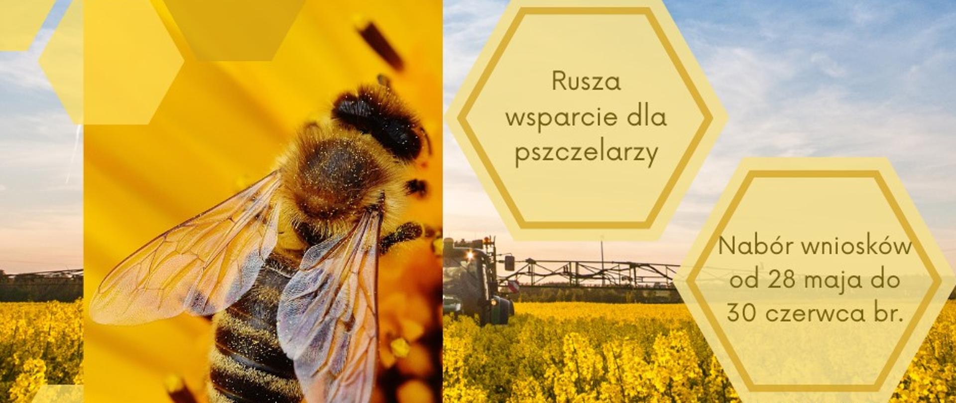 pomoc dla pszczelarzy