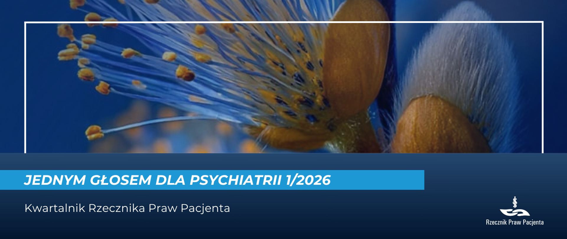 Zdjęcie przedstawia kwitnące bazie na tle intensywnie niebieskiego nieba. Pod spodem napis Jednym Głosem dla Psychiatrii 1/2026, biały napis na niebieskim pasku, niżej biały napis na granatowym tle kwartalnik Rzecznika Praw Pacjenta. W prawym dolnym rogu logo Rzecznika Praw Pacjenta.