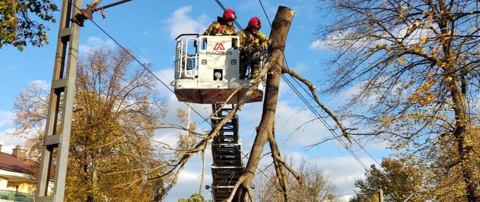 Gałąź oderwana od drzewa zwisa nad torowiskiem zaczepiona o trakcję tramwajową. Obok rozstawiona autodrabina mechaniczna z dwoma strażakami w koszu, którzy piłą mechaniczną przecinają gałąź. Z prawej strony w niedalekiej odległości stoi tramwaj oczekując na przywrócenie ruchu.