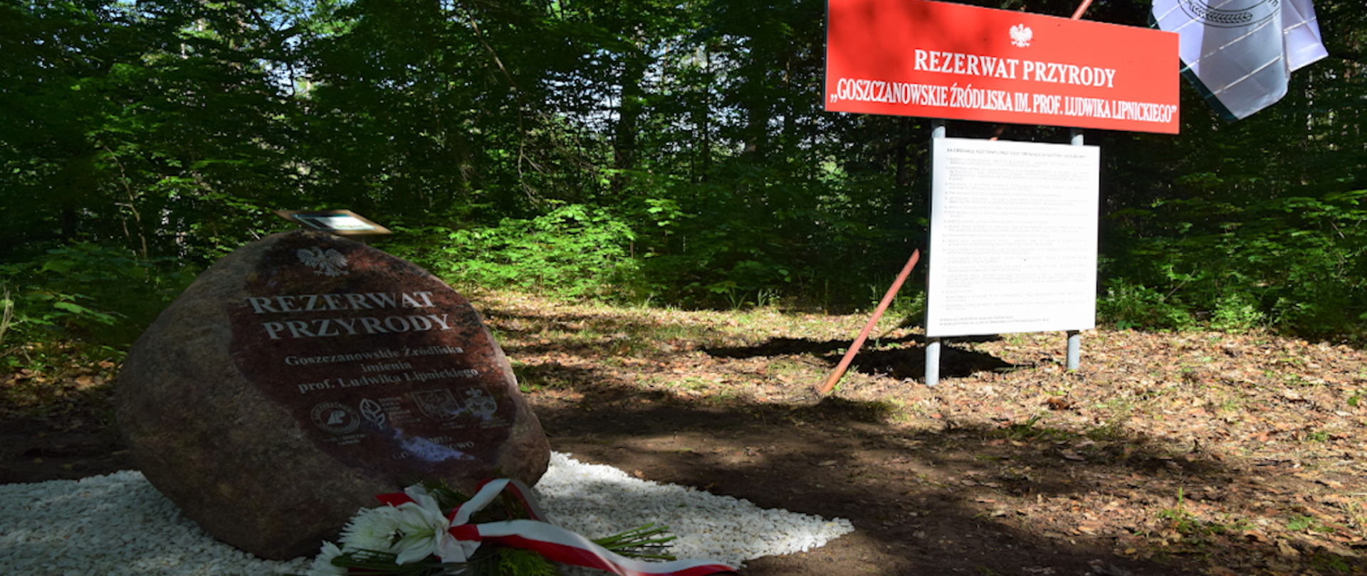 Po lewej stronie na ścieżce pośród białych kamyczków stoi kamień z napisem rezerwat przyrody Goszczanowskie Źródliska im. Prof. Ludwika Lipnickiego, przed nim leży bukiet kwiatów, po prawej stronie czerwona tablica z napisem rezerwat przyrody Goszczanowskie Źródliska im. Prof. Ludwika Lipnickiego.
