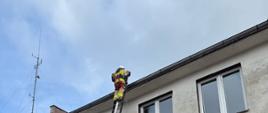 Strażacy PSP podczas ćwiczeń przy budynku strażnicy, jeden z funkcjonariuszy znajduje się na drabinie opartej o dach, a pozostali zabezpieczają działania z poziomu ziemi.