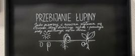 3 Przebijanie łupiny