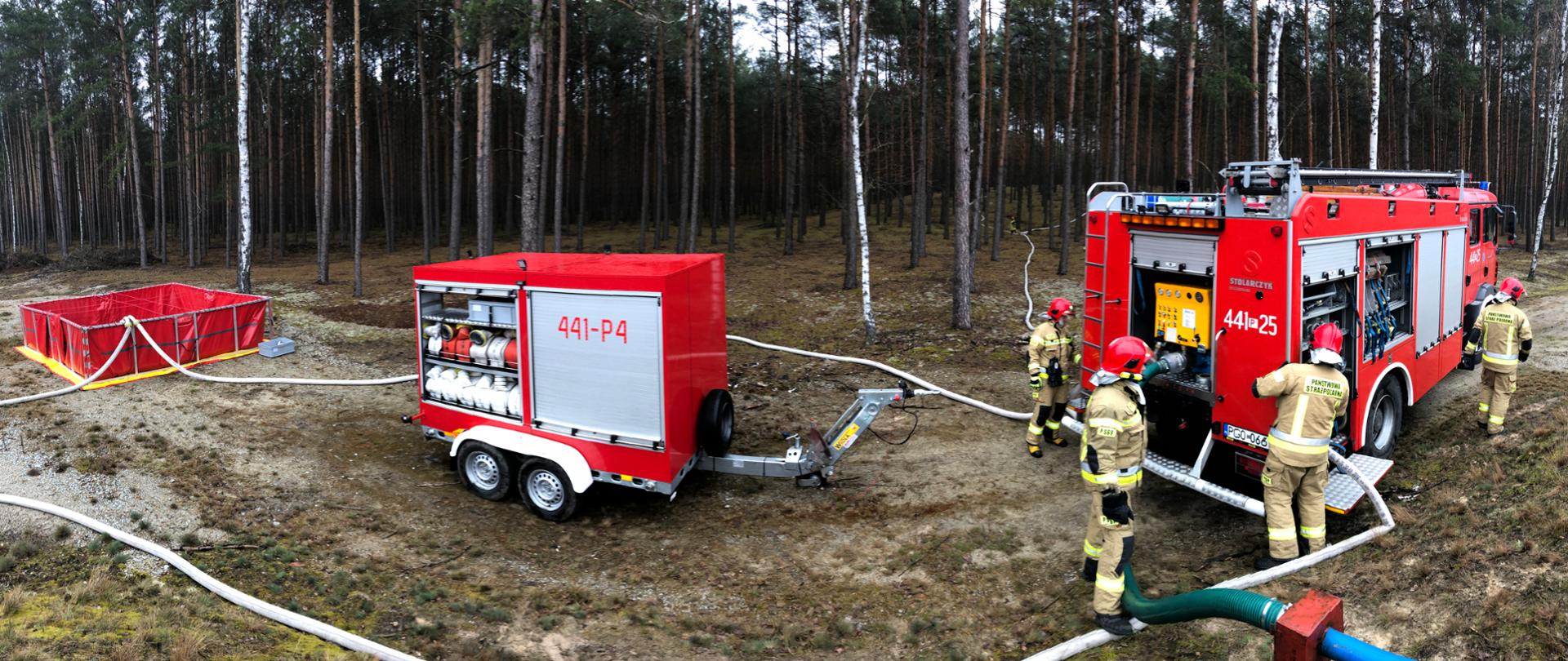 ćwiczenia w leśnictwie Głodno 