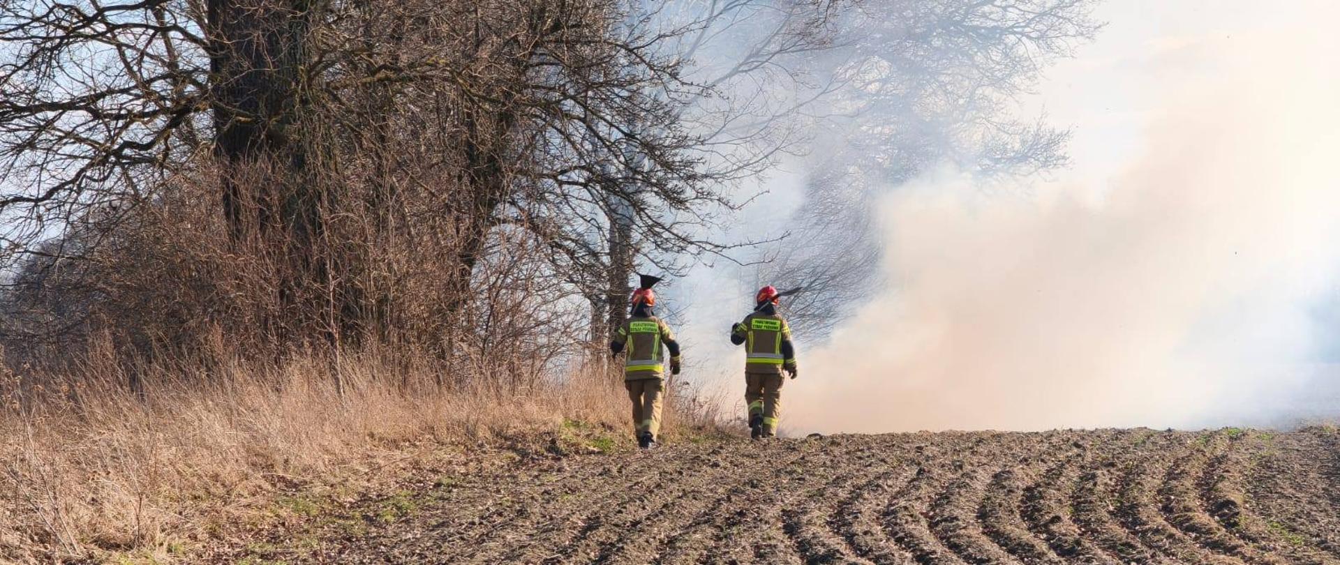 Dwóch strażaków w czerwonych hełmach idzie do pożaru w oddali, widać biały dym, palą się suche nieużytki.
