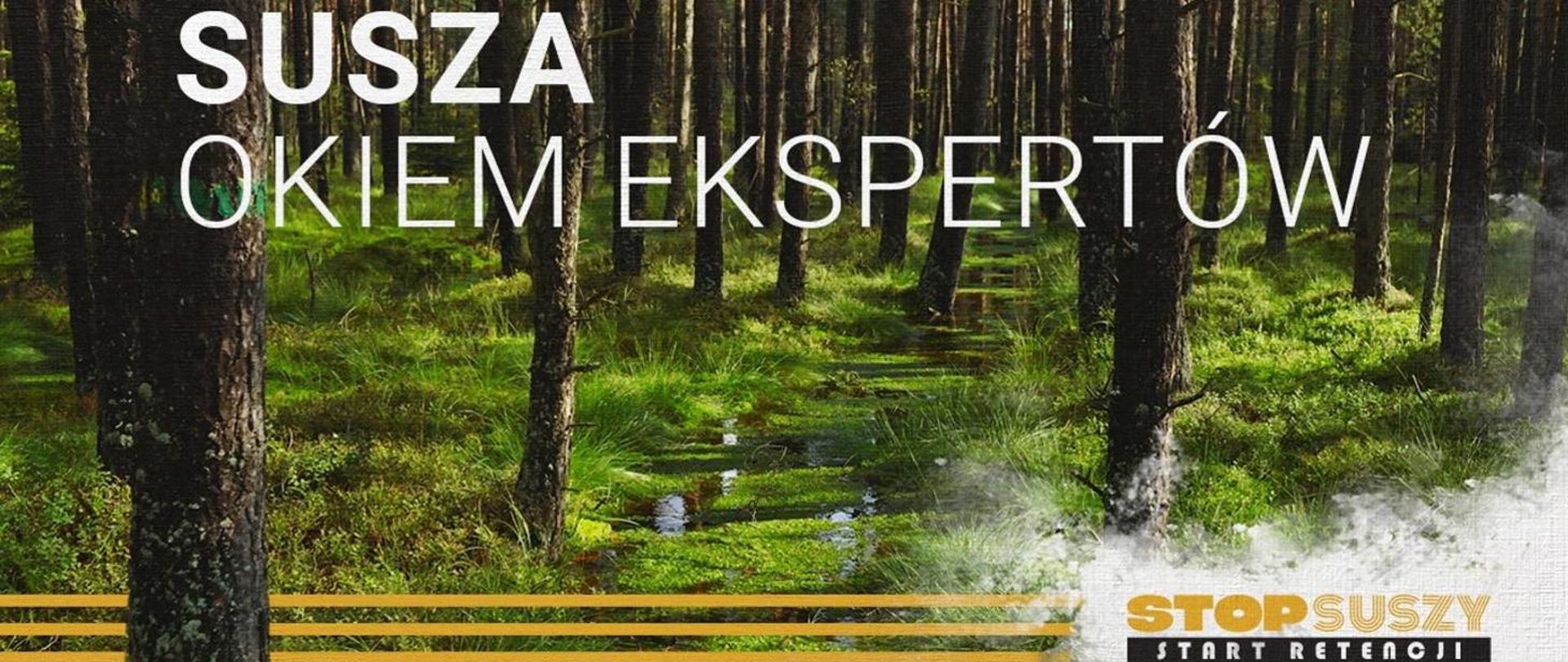 Susza - okiem ekspertów