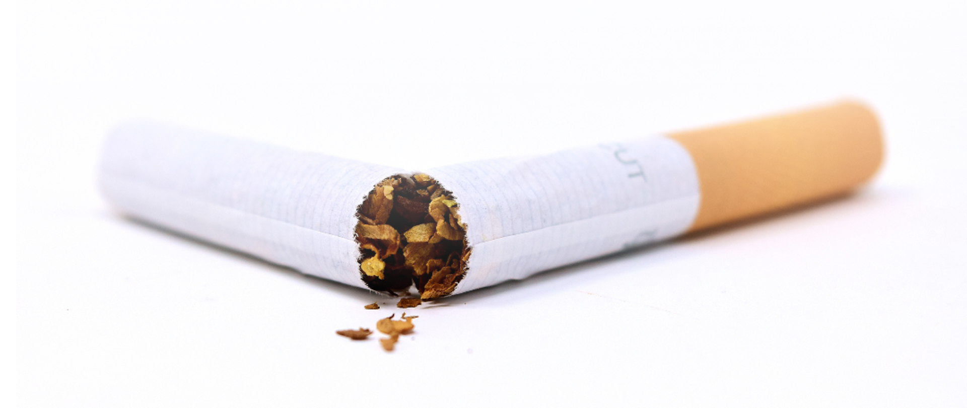 Światowy Dzień bez Tytoniu