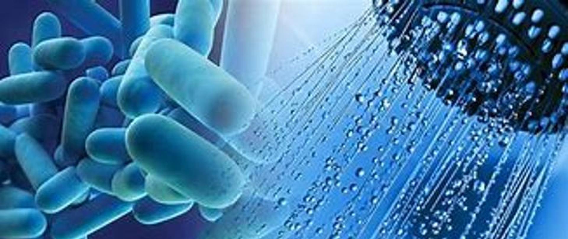 Wytyczne GIS w związku z zakażeniami legionellą