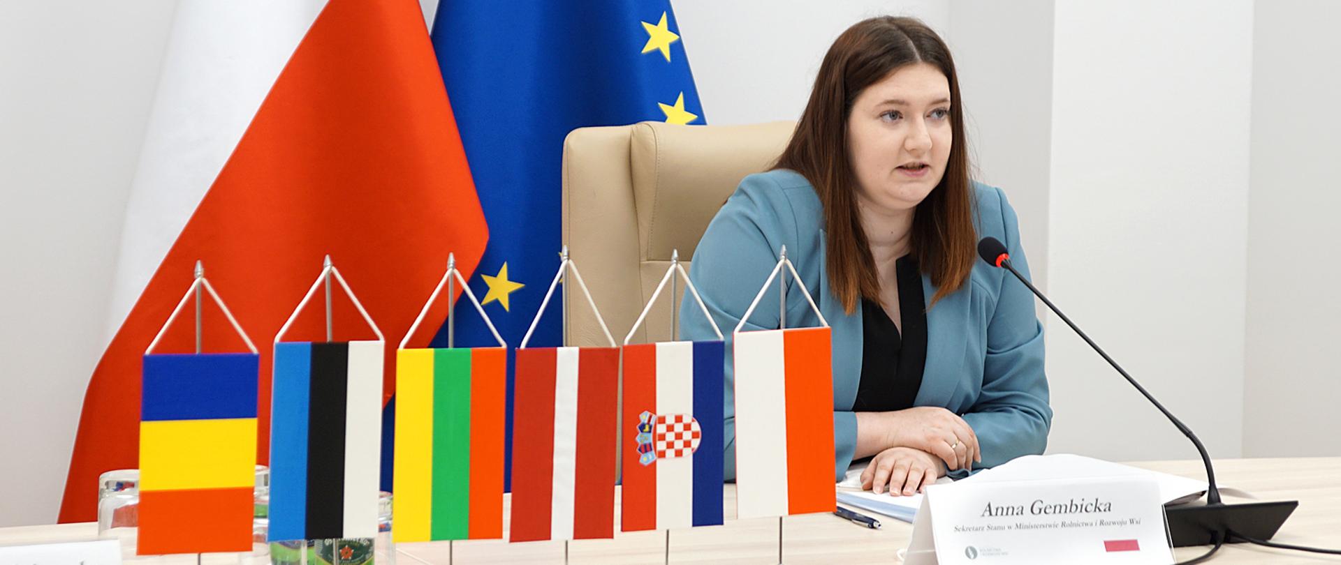 Sekretarz stanu Anna Gembicka 