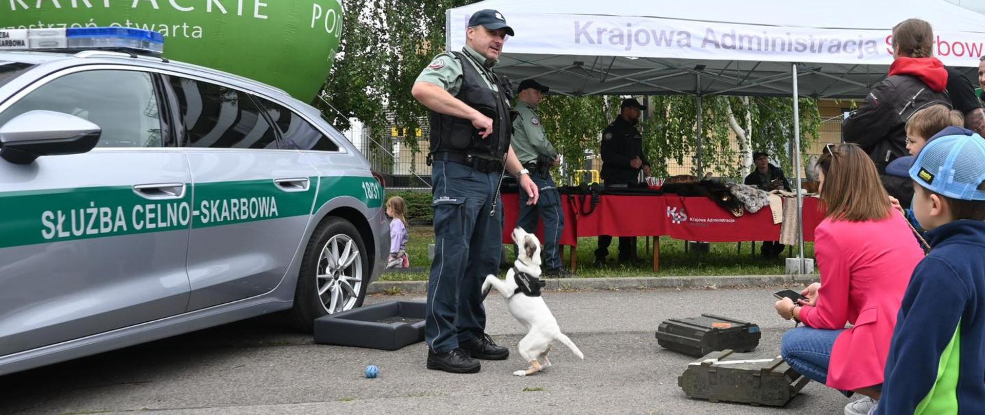 pokaz umiejętności psa