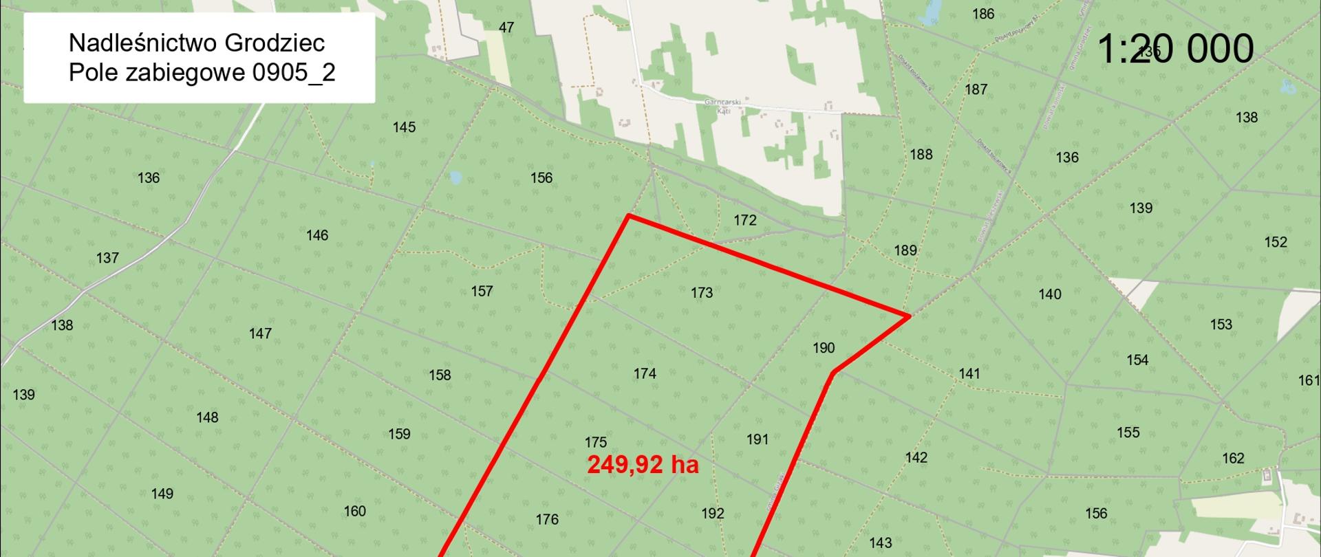 Pole zabiegowe - Nadleśnictwo Grodziec