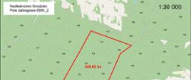Pole zabiegowe - Nadleśnictwo Grodziec