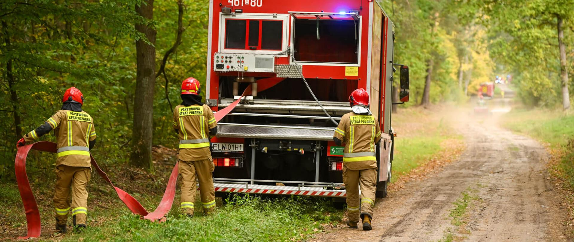 Trzej strażacy w hełmach i mundurach specjalnych rozwijają węże tłoczne połączone z tyłem czerwonego samochodu wężowego na leśnej drodze.